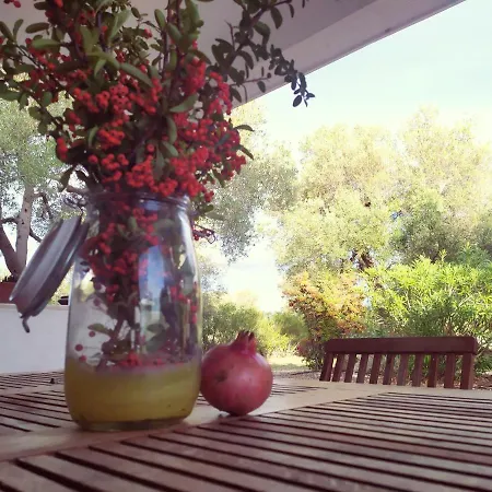 Casa Agave Ostuni